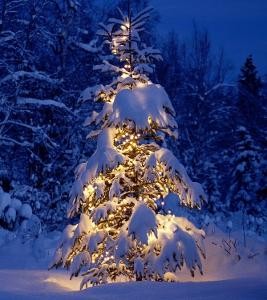 small_christmas-tree